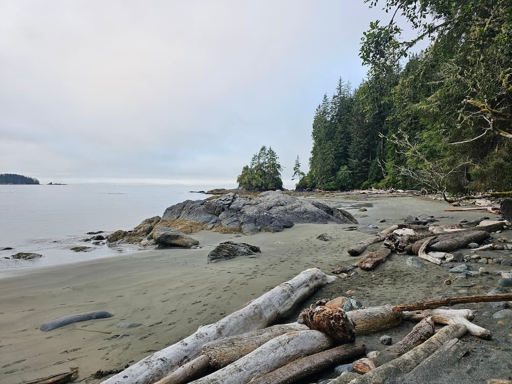 A 230-pound hiker wearing a heavy 55-pound Deuter backpack on the ladders of the West Coast Trail.