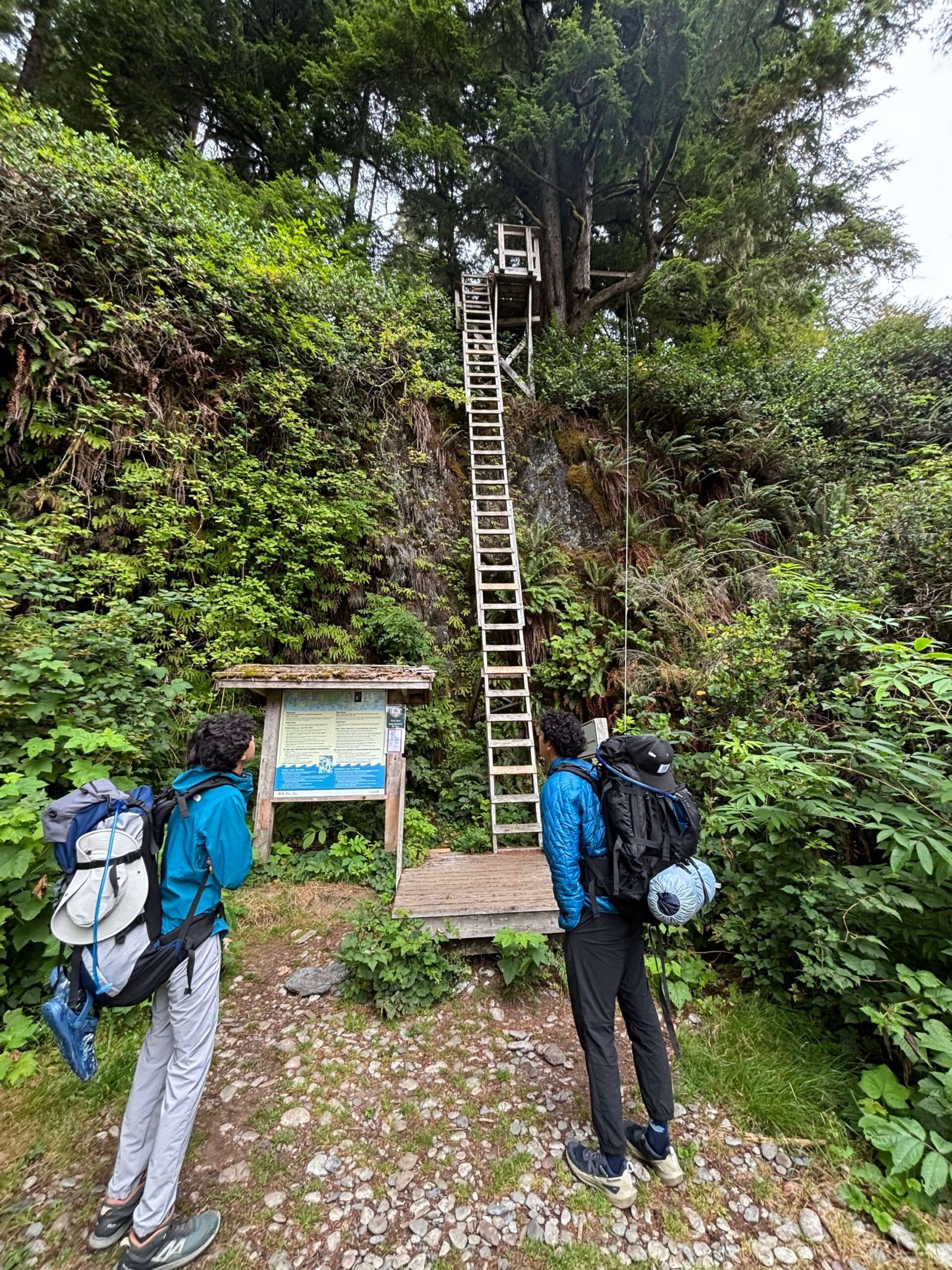 Hiker with heavy backpack facing a steep ladder on the West Coast Trail, debating North to South vs South to North routes.